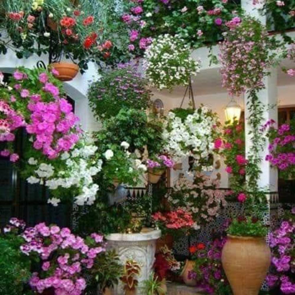 Meet your Posher, Havana